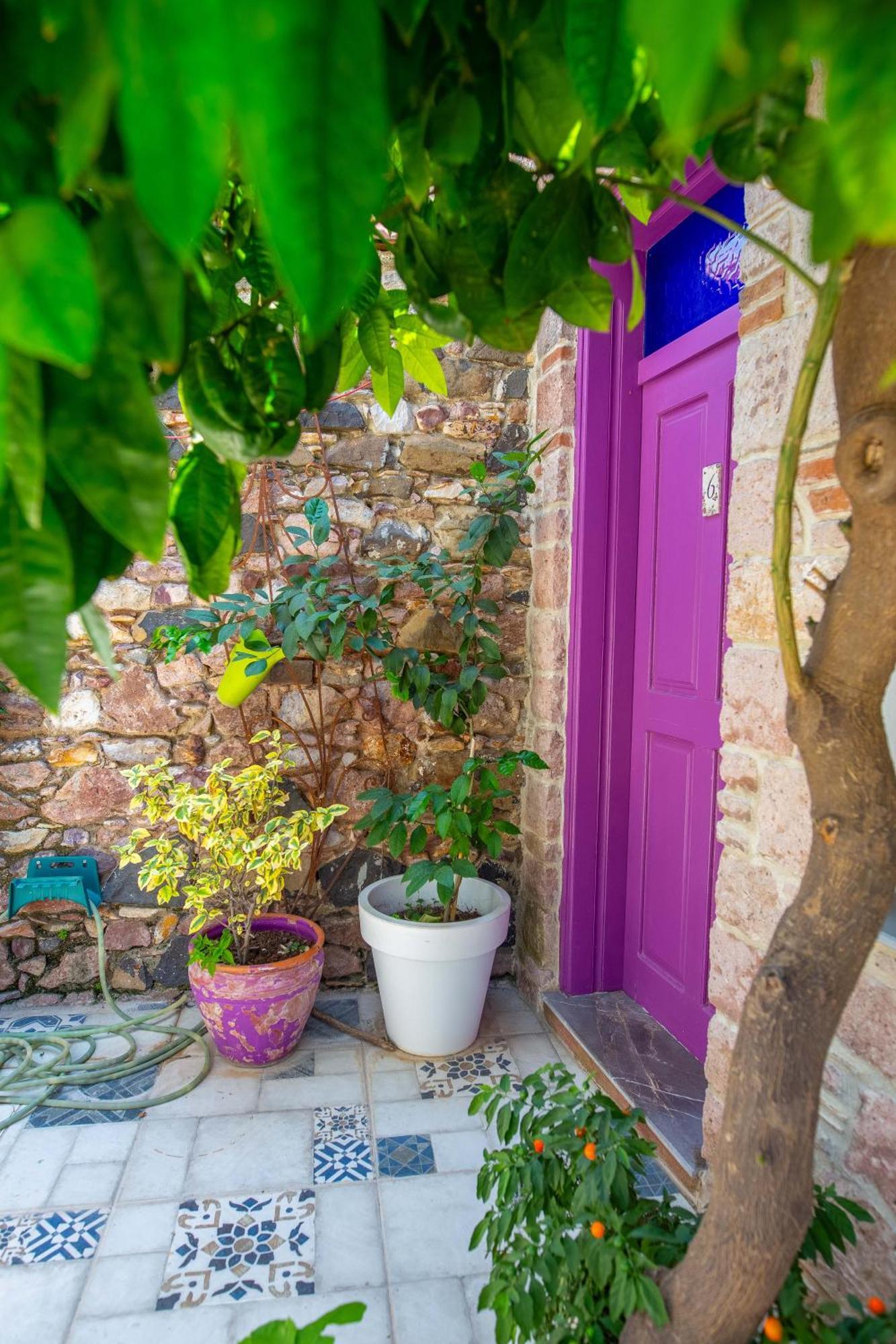 Cunda Mor Limon Otel Ayvalı 外观 照片
